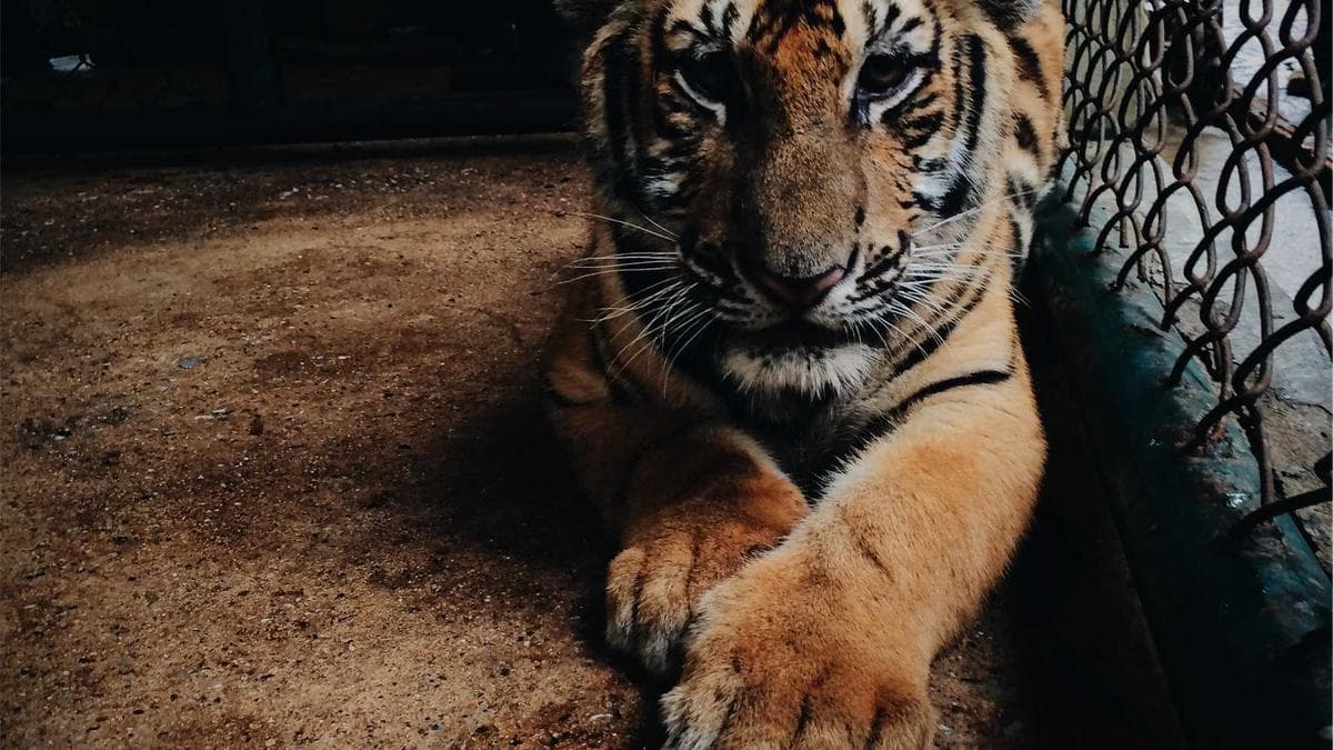 Neque porro quisquam est