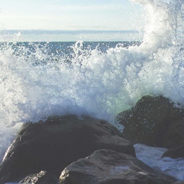 Lorem Shin Guards Alpha — product image