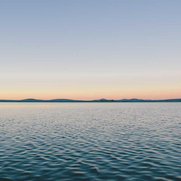 Dolor Handwraps Set — product image