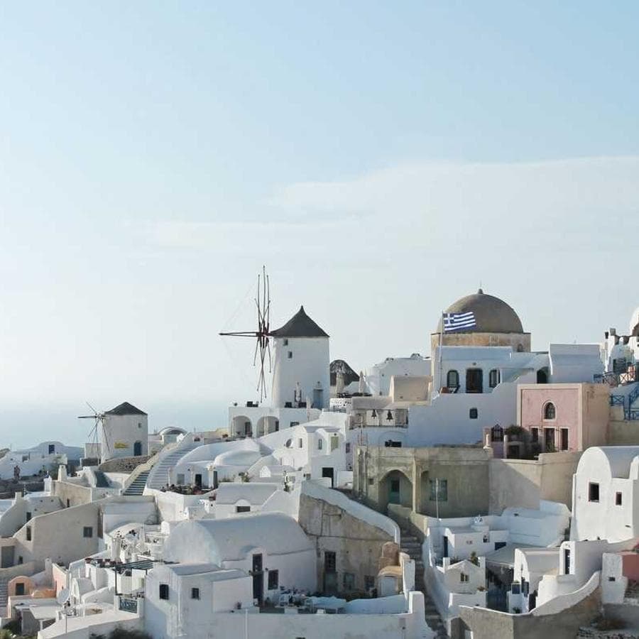 Consectetur Focus Mitts