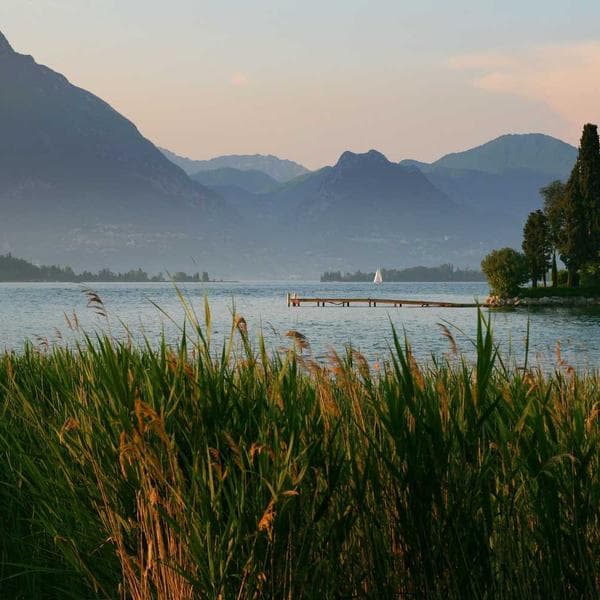 Consectetur Focus Mitts — product image