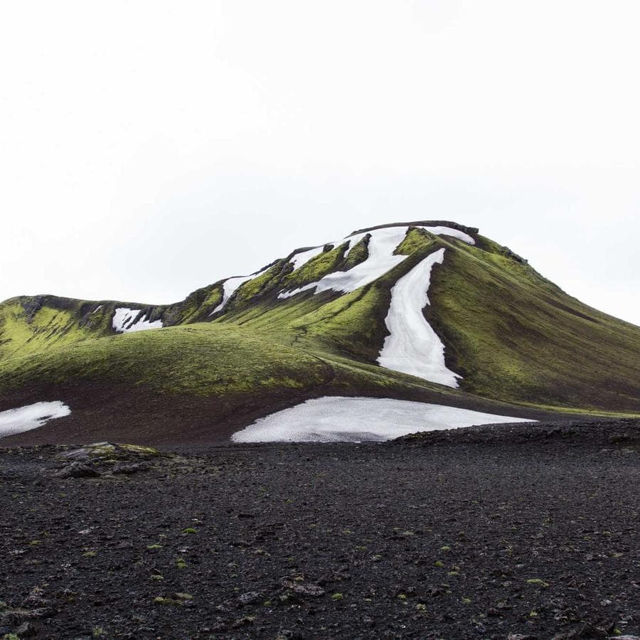 Adipiscing Elit Gloves 12oz