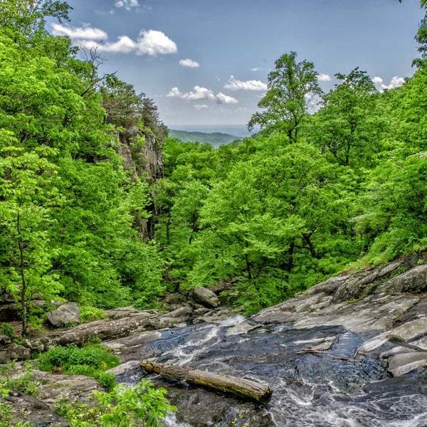 Adipiscing Elit Gloves 12oz — product image