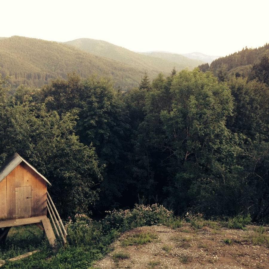 Elit Mouthguard Comfort