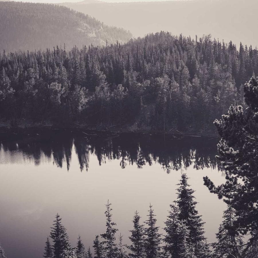 Aliqua Thai Oil Balm